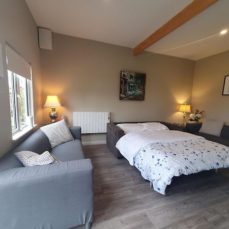 Garden Chalet Oranmore Apartamento Galway Exterior foto