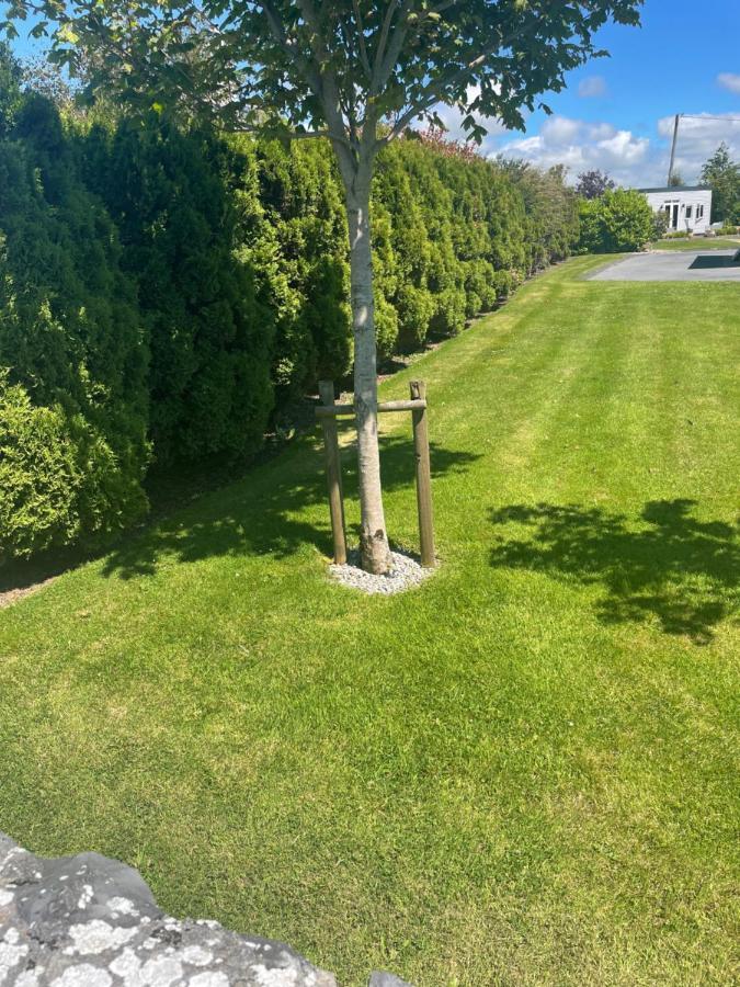 Garden Chalet Oranmore Apartamento Galway Exterior foto